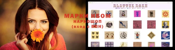 прущий лед Богородск