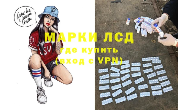 гидра Усмань