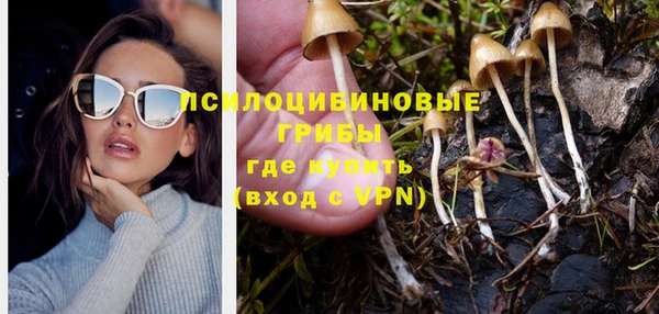 гашик Богданович