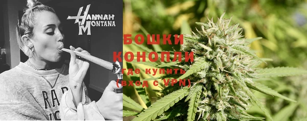 гашик Богданович