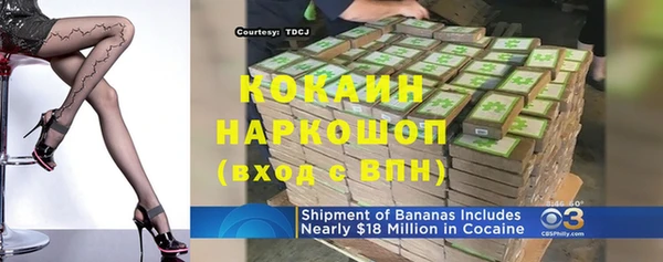 гашик Богданович